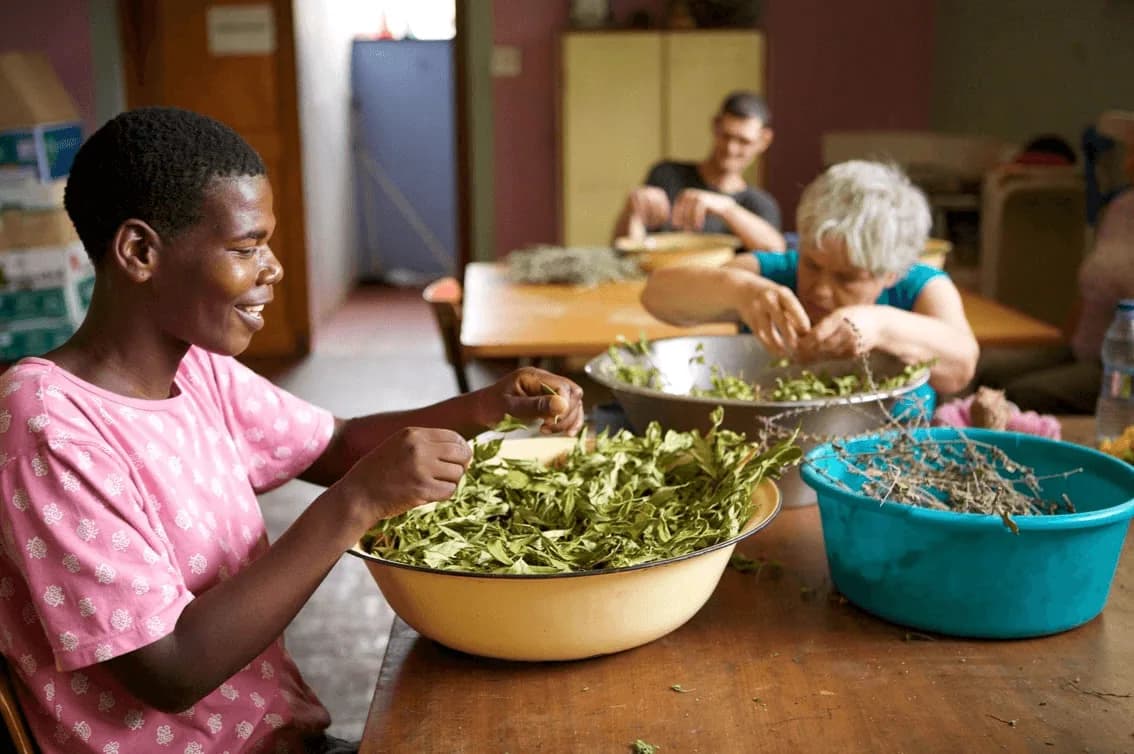 Residents and co-workers around a workshop table, sorting freshly cut herbs into bowls